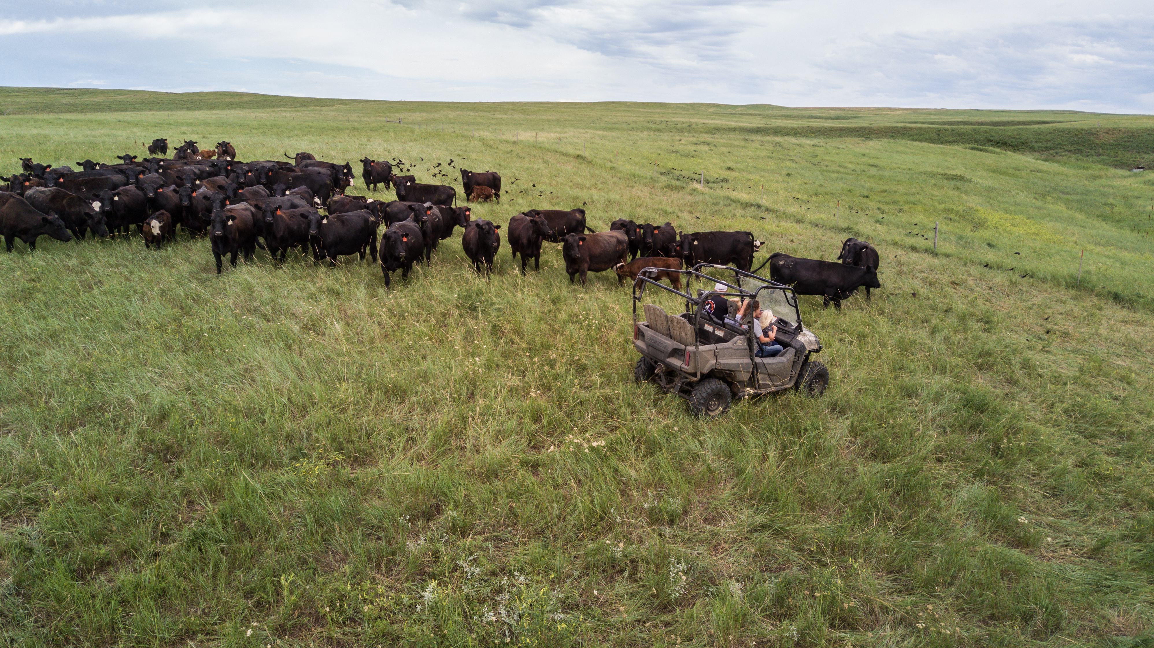 07 12 19 South Dakota Soil Neuharth 218