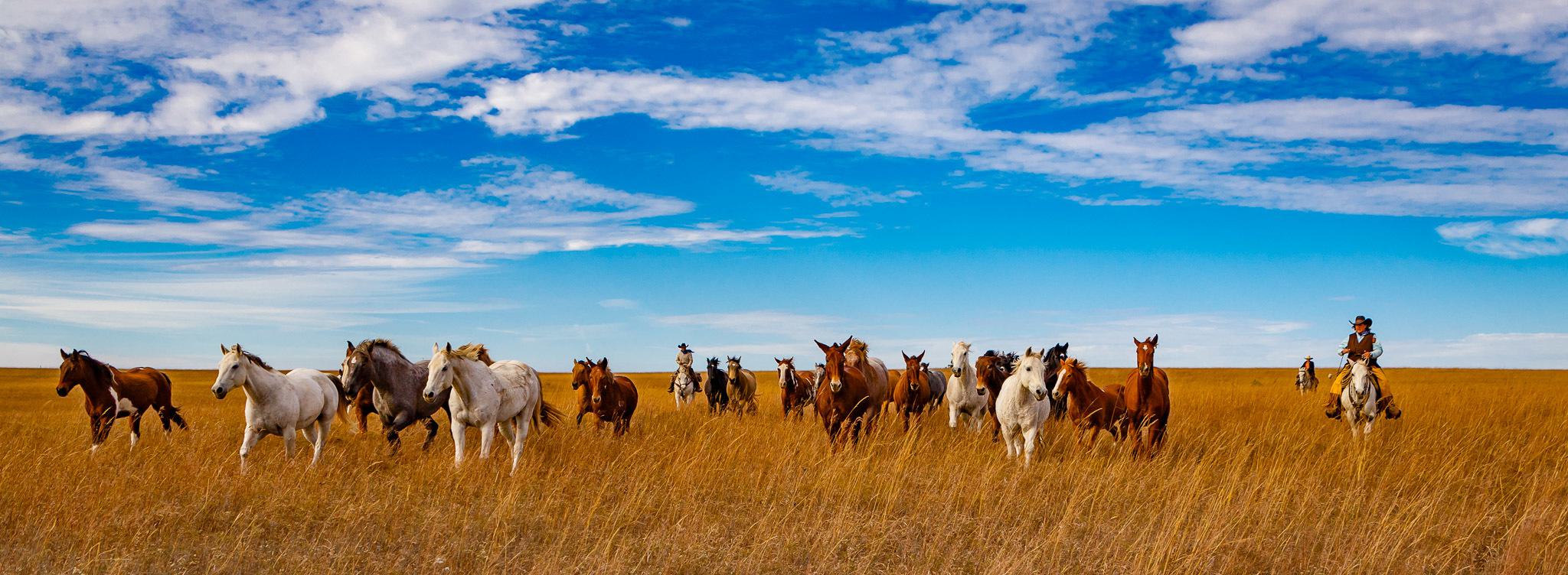 20161105 Img 4689 Edit 2 1