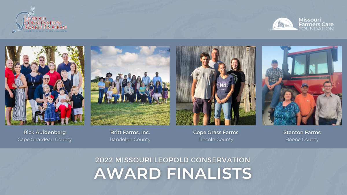 22 Mo Lca Finalist Graphic