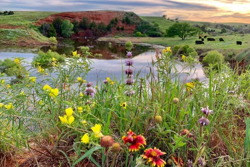 Tk Rice Ranch Lazy KT Ranch | Sand County Foundation