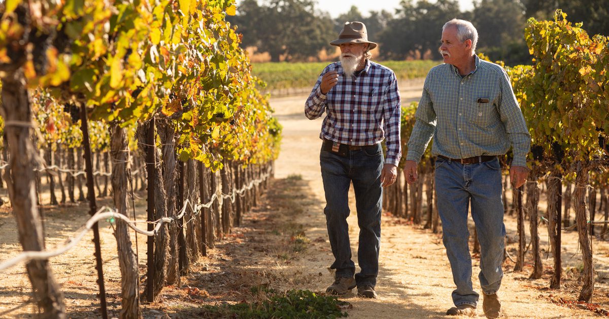 Randy Rominger Rominger Brothers Farms | Sand County Foundation